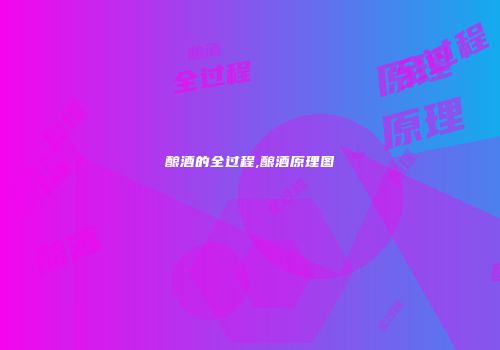 酿酒的全过程,酿酒原理图