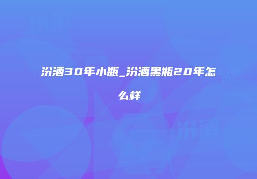 汾酒30年小瓶_汾酒黑瓶20年怎么样