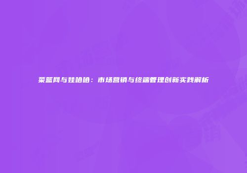 菜篮网与娃哈哈：市场营销与终端管理创新实践解析