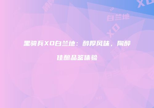 黑骑兵XO白兰地：醇厚风味，陶醉佳酿品鉴体验
