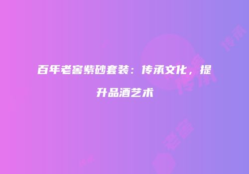 百年老窖紫砂套装：传承文化，提升品酒艺术