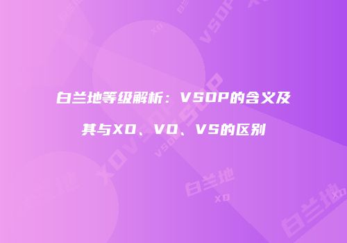 白兰地等级解析：VSOP的含义及其与XO、VO、VS的区别