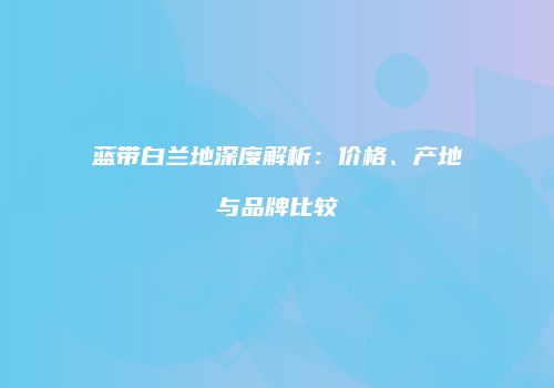 蓝带白兰地深度解析：价格、产地与品牌比较