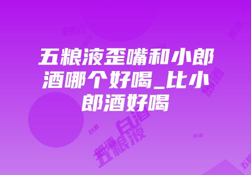 五粮液歪嘴和小郎酒哪个好喝_比小郎酒好喝