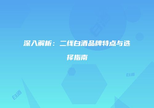 深入解析：二线白酒品牌特点与选择指南