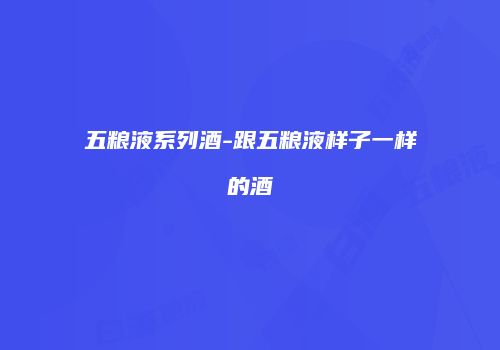五粮液系列酒-跟五粮液样子一样的酒