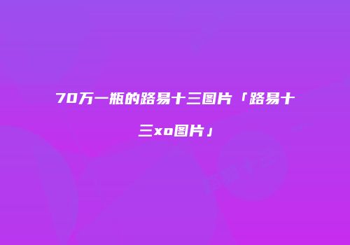70万一瓶的路易十三图片「路易十三xo图片」