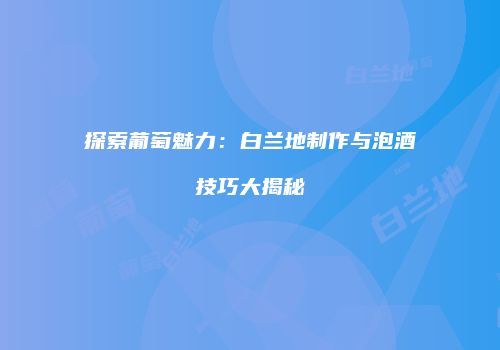 探索葡萄魅力：白兰地制作与泡酒技巧大揭秘