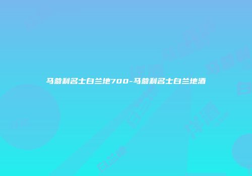 马爹利名士白兰地700-马爹利名士白兰地酒