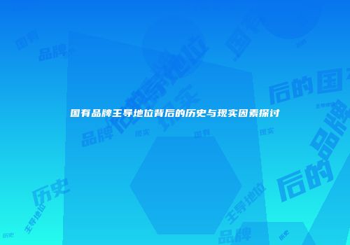 国有品牌主导地位背后的历史与现实因素探讨