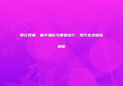 网红现象、奢华酒店与便捷出行：现代生活趣味解析