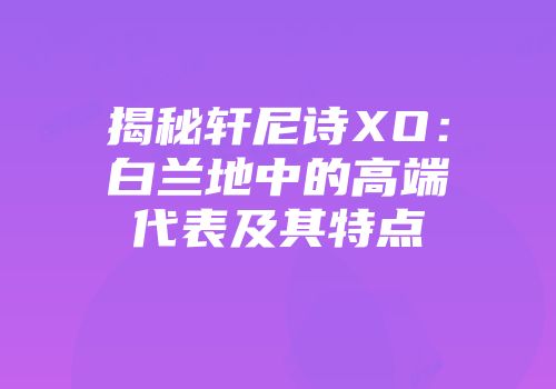 揭秘轩尼诗XO：白兰地中的高端代表及其特点