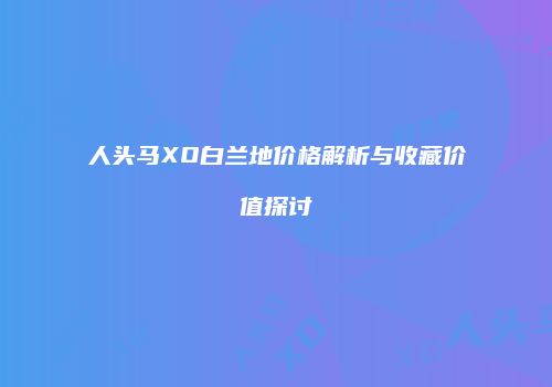人头马XO白兰地价格解析与收藏价值探讨
