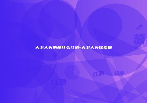 大卫人头的是什么红酒-大卫人头像素描