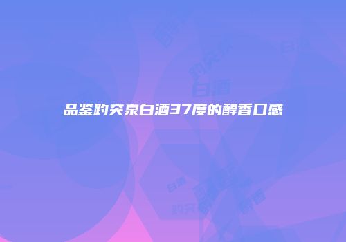 品鉴趵突泉白酒37度的醇香口感