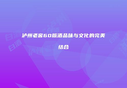 泸州老窖60版酒品味与文化的完美结合