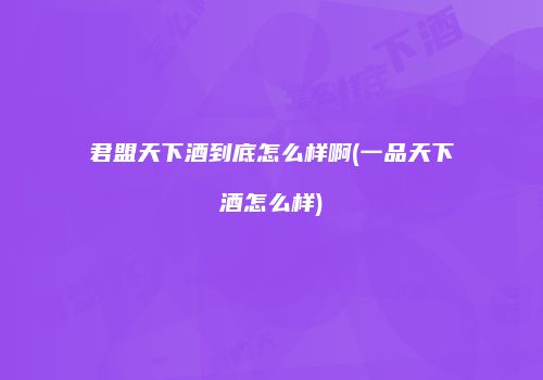 君盟天下酒到底怎么样啊(一品天下酒怎么样)