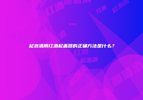 起泡酒用红酒起盖器的正确方法是什么？
