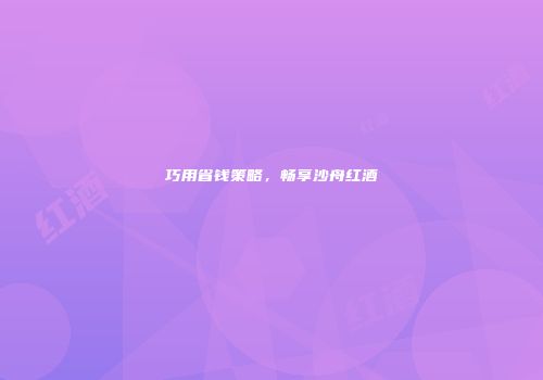 巧用省钱策略，畅享沙舟红酒