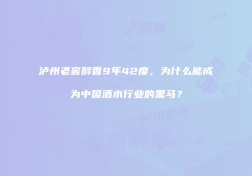 泸州老窖醇香9年42度，为什么能成为中国酒水行业的黑马？