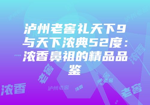 泸州老窖礼天下9与天下浓典52度：浓香鼻祖的精品品鉴