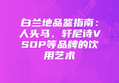 白兰地品鉴指南：人头马、轩尼诗VSOP等品牌的饮用艺术