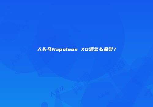 人头马Napoleon XO酒怎么品尝？