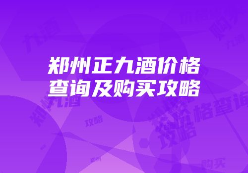 郑州正九酒价格查询及购买攻略