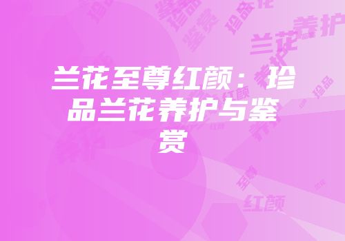 兰花至尊红颜：珍品兰花养护与鉴赏