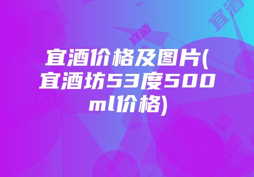 宜酒价格及图片(宜酒坊53度500ml价格)