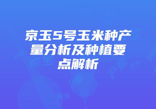 京玉5号玉米种产量分析及种植要点解析
