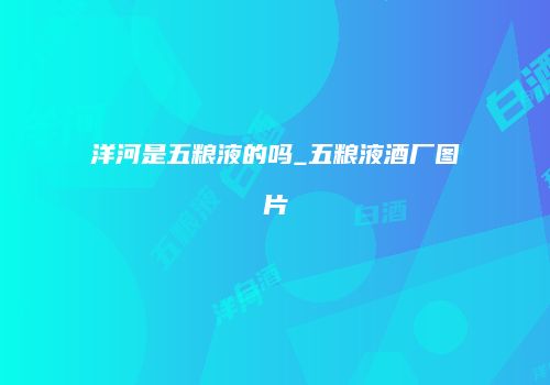 洋河是五粮液的吗_五粮液酒厂图片