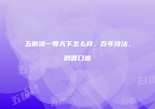 五粮液一尊天下怎么样，百年技法，醇香口感
