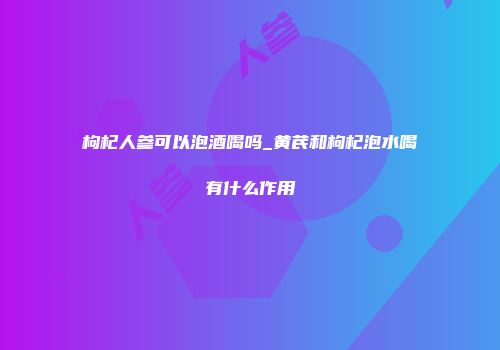 枸杞人参可以泡酒喝吗_黄芪和枸杞泡水喝有什么作用