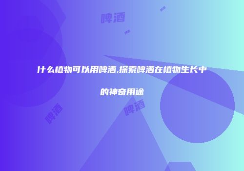 什么植物可以用啤酒,探索啤酒在植物生长中的神奇用途