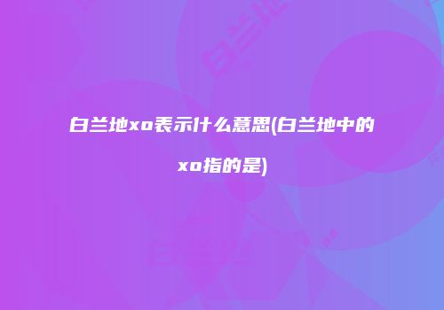 白兰地xo表示什么意思(白兰地中的xo指的是)