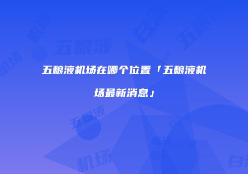 五粮液机场在哪个位置「五粮液机场最新消息」