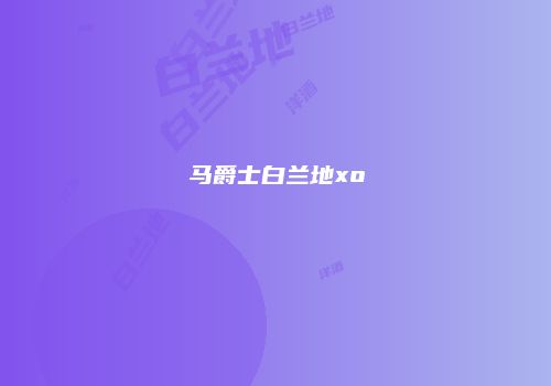 马爵士白兰地xo
