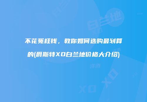 不花冤枉钱，教你如何选购最划算的(爵斯特XO白兰地价格大介绍)