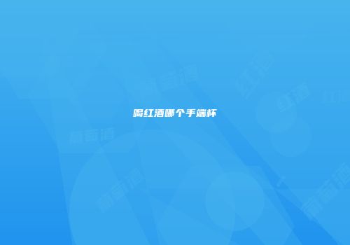 喝红酒哪个手端杯