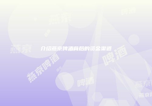 介绍燕京啤酒背后的资金渠道