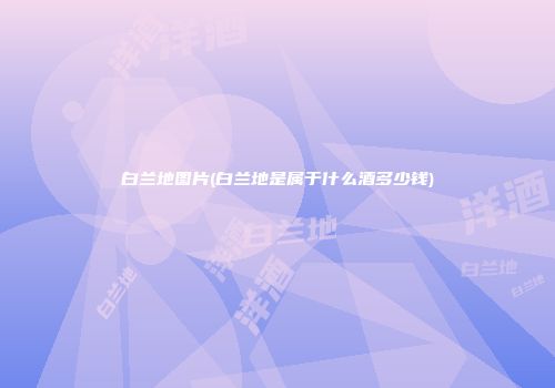 白兰地图片(白兰地是属于什么酒多少钱)