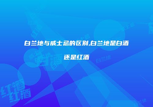 白兰地与威士忌的区别,白兰地是白酒还是红酒