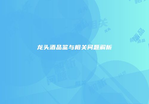 龙头酒品鉴与相关问题解析