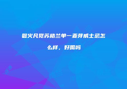 磐火凡觉苏格兰单一麦芽威士忌怎么样，好喝吗