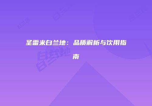 圣雷米白兰地：品质解析与饮用指南