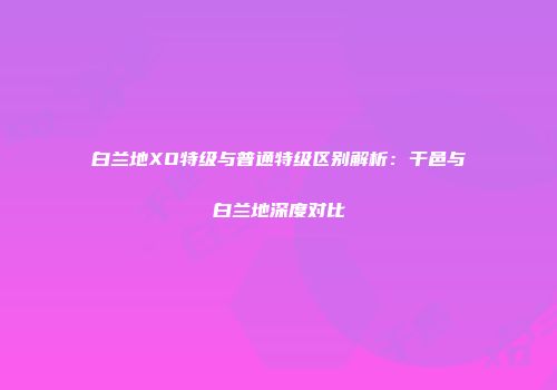 白兰地XO特级与普通特级区别解析：干邑与白兰地深度对比