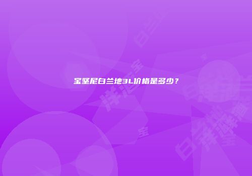 宝坚尼白兰地3L价格是多少？