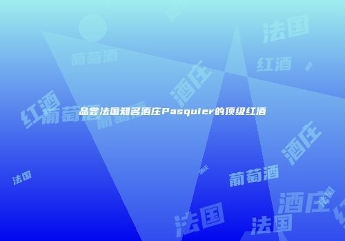 品尝法国知名酒庄Pasquier的顶级红酒