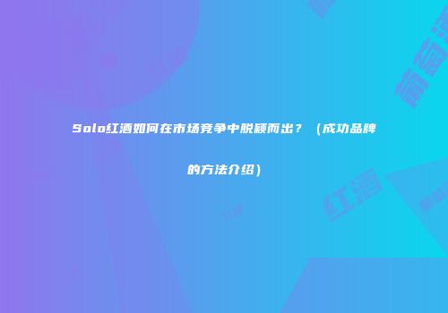 Solo红酒如何在市场竞争中脱颖而出？（成功品牌的方法介绍）